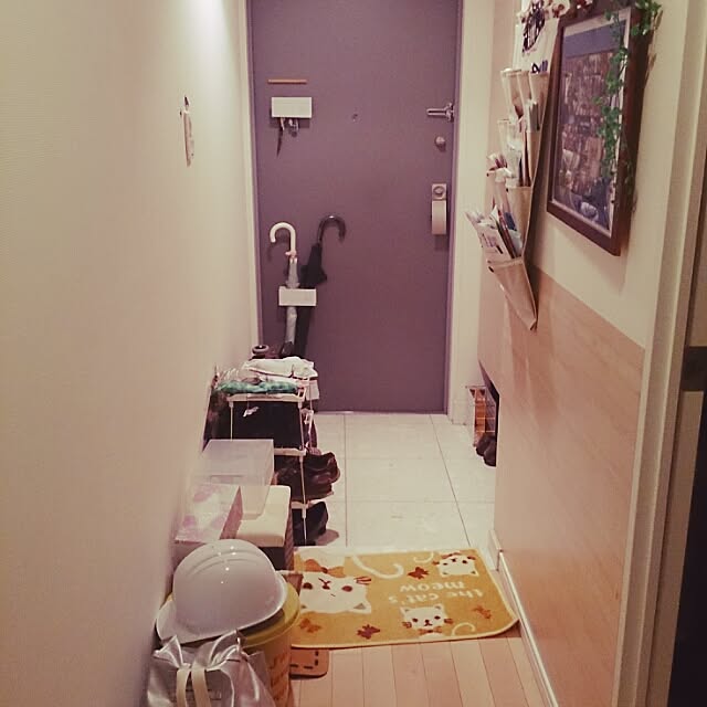 myu_cosmosさんの実例写真