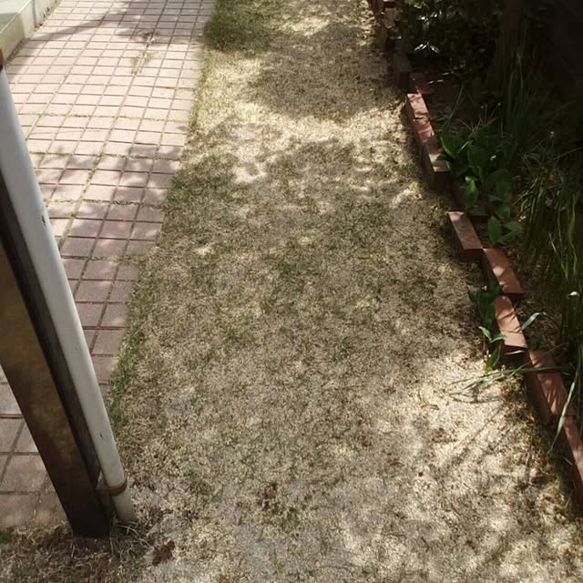 Kimikoさんの実例写真