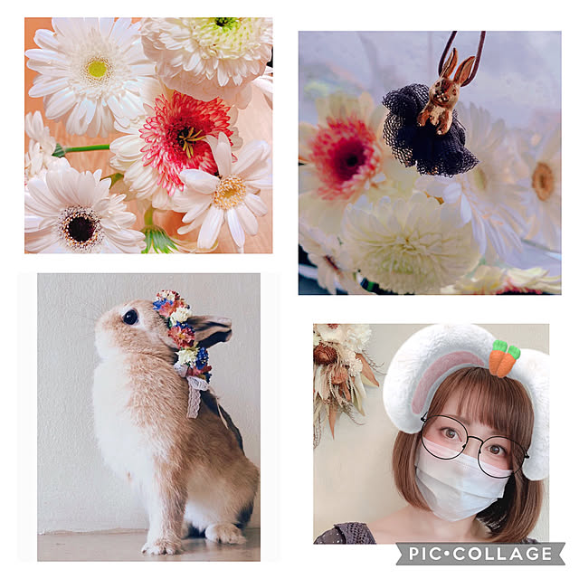 Llatte-usaさんの実例写真