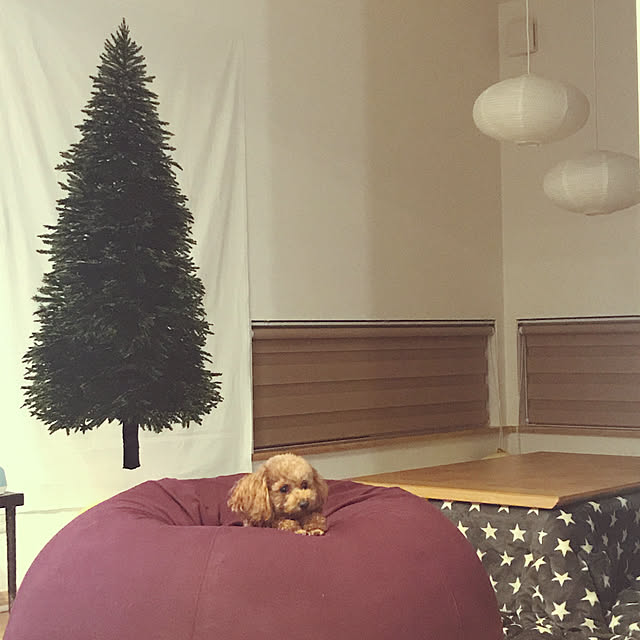 Mayaさんの実例写真