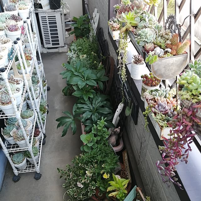 teruminさんの部屋