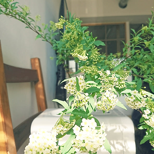 karinさんの実例写真