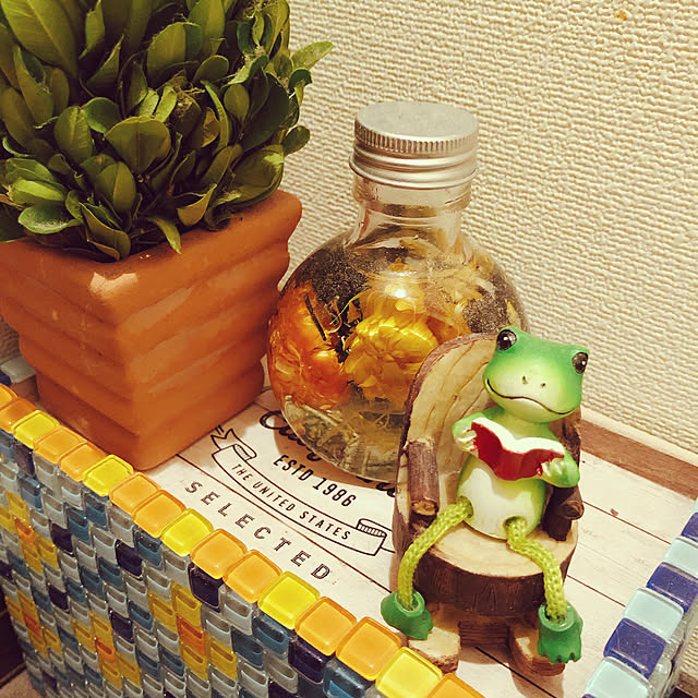 実例写真