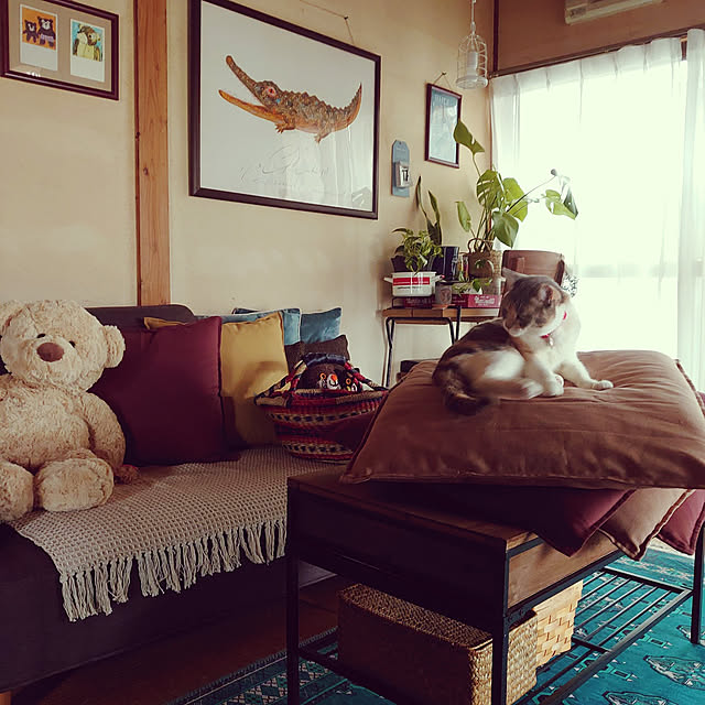fukuさんの実例写真