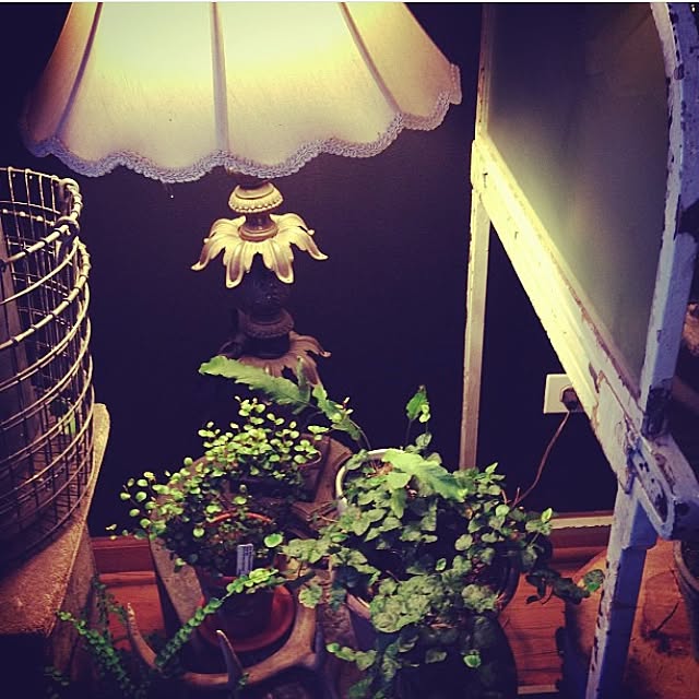 机/観葉植物/照明のインテリア実例 - 2015-09-05 22:53:28