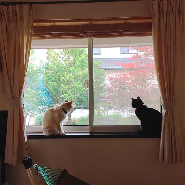 nanaさんの実例写真