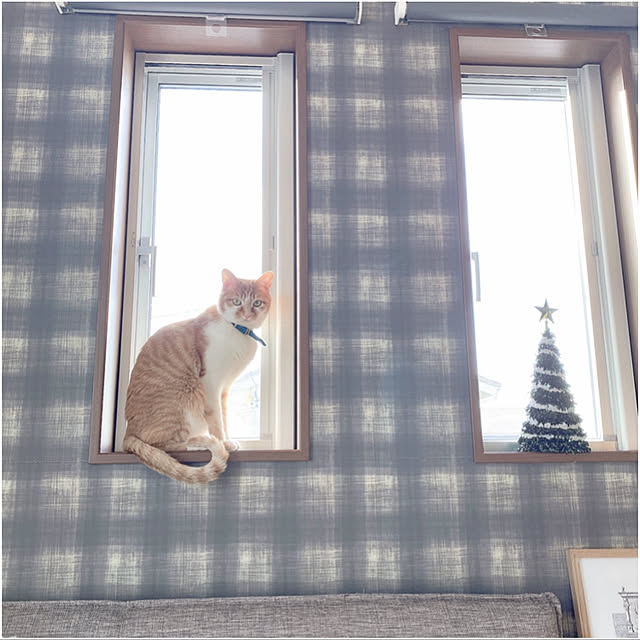 chibi76さんの実例写真