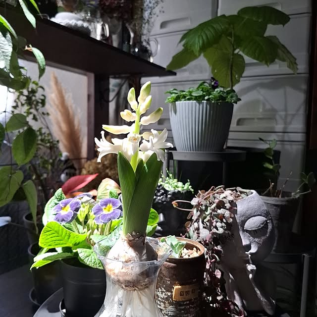 noaさんの実例写真