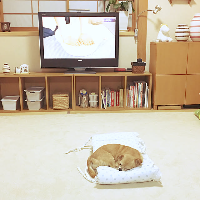 haritakaさんの実例写真