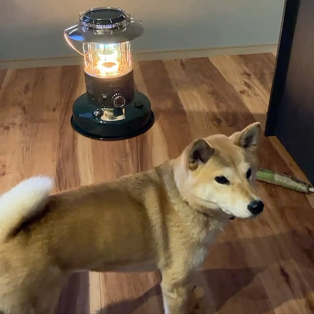 midoさんの実例写真