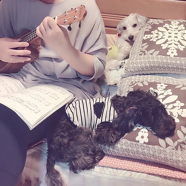 Mihoさんの実例写真