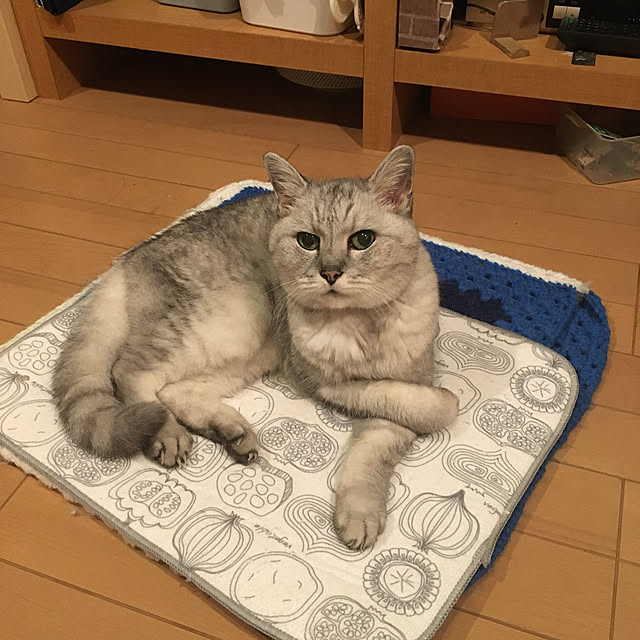 kou-kitiさんの実例写真