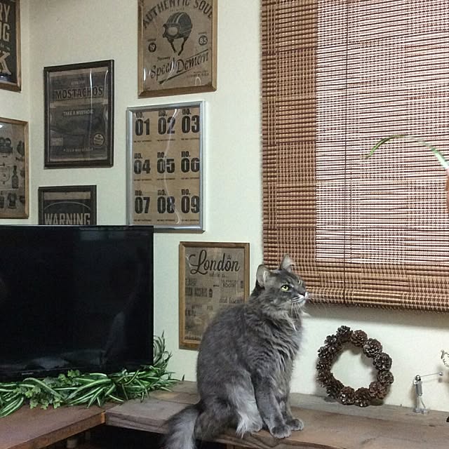 ayuさんの実例写真