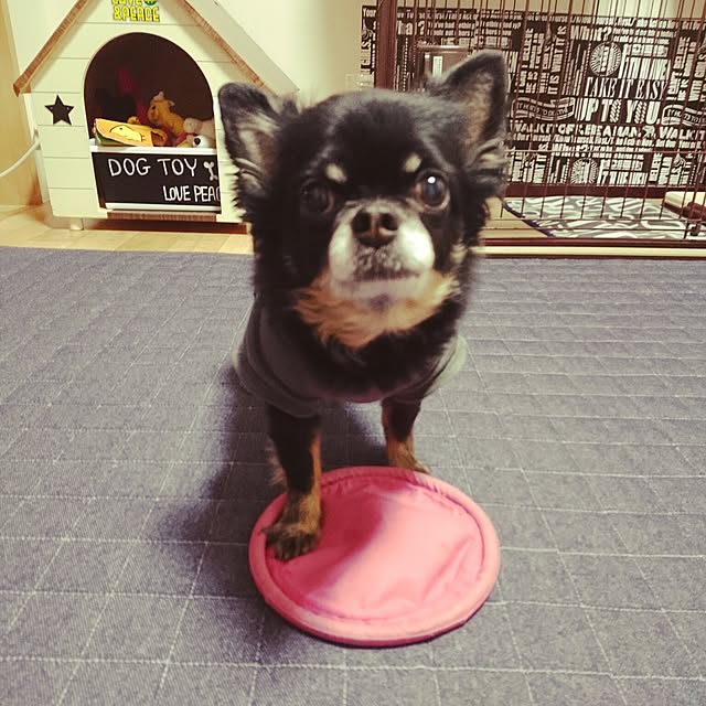 lovepeaceさんの実例写真