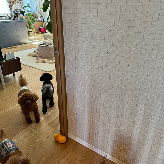 yuzukitoyuukiさんの実例写真