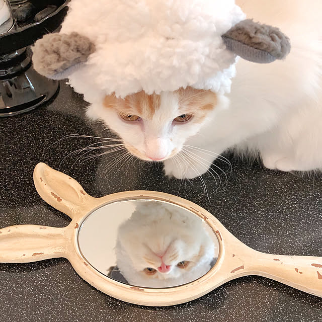 yuchiさんの実例写真