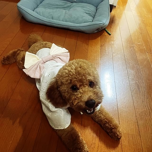 mimi828さんの部屋