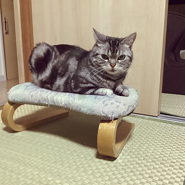 richanさんの実例写真