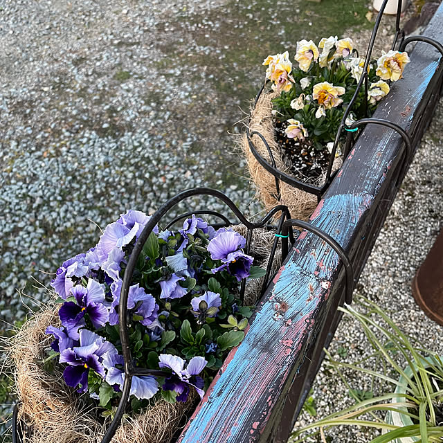 shin0719さんの部屋