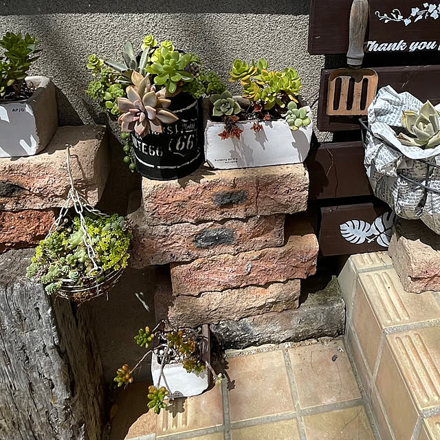 burgundy.roseさんの部屋