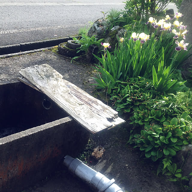 aoinokimiさんの実例写真