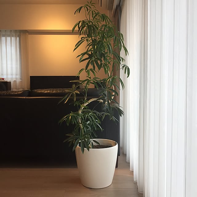 yukaiさんの実例写真