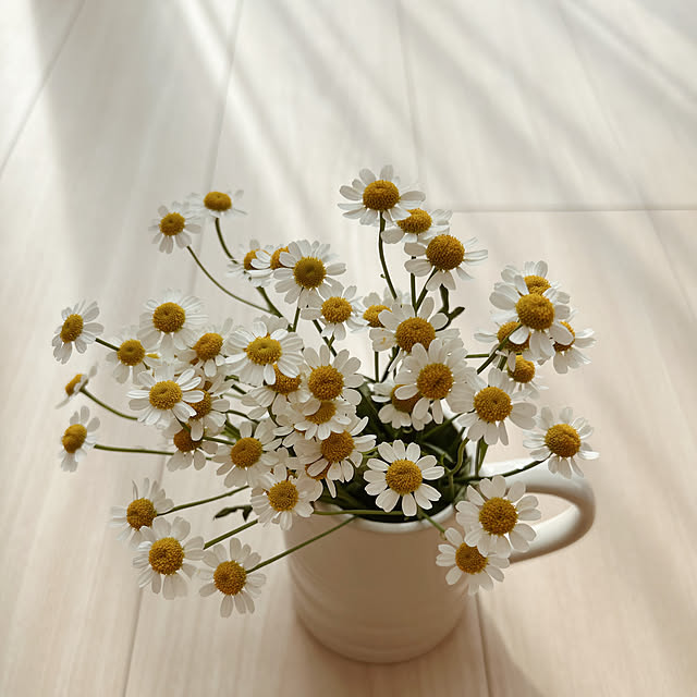 run_cafeさんの部屋