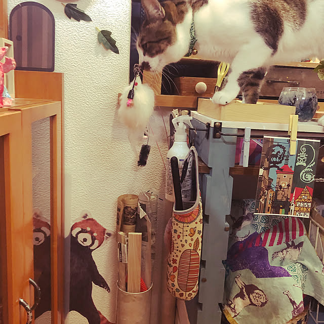 jijiさんの実例写真