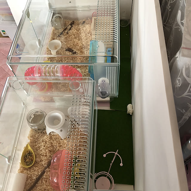 Kiyomiさんの実例写真