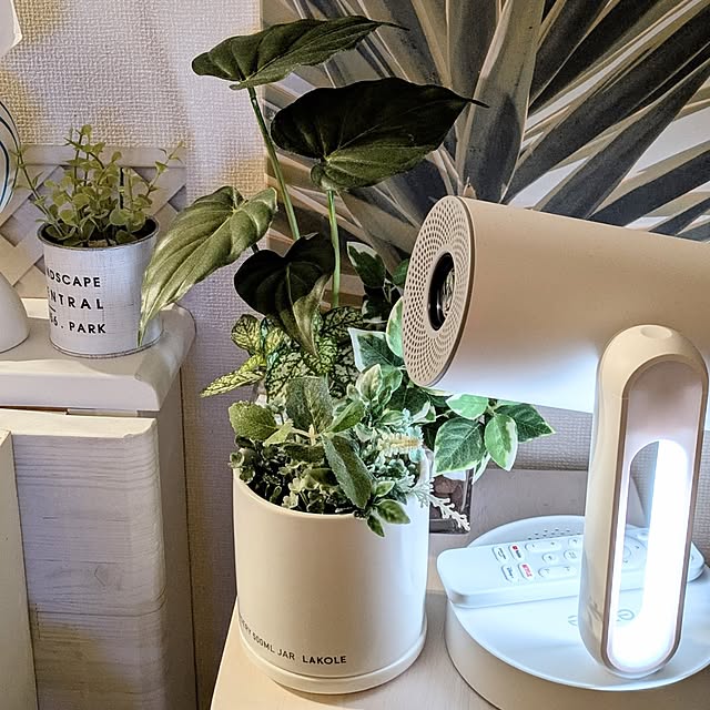 megurinさんの部屋