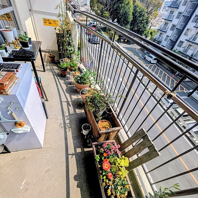 mi-saさんの部屋