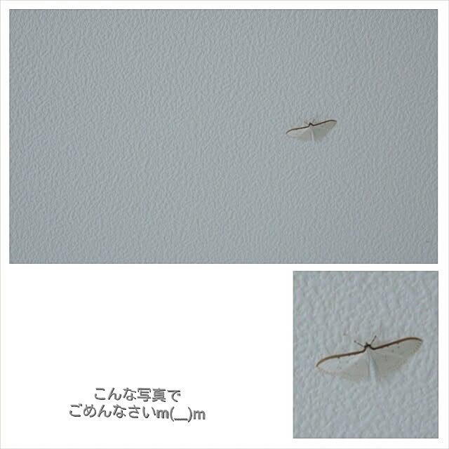hiro-hvさんの実例写真
