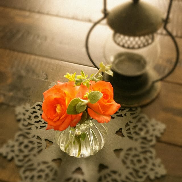 棚/植物/アンティーク/花がある生活のインテリア実例 - 2016-05-31 15:58:50