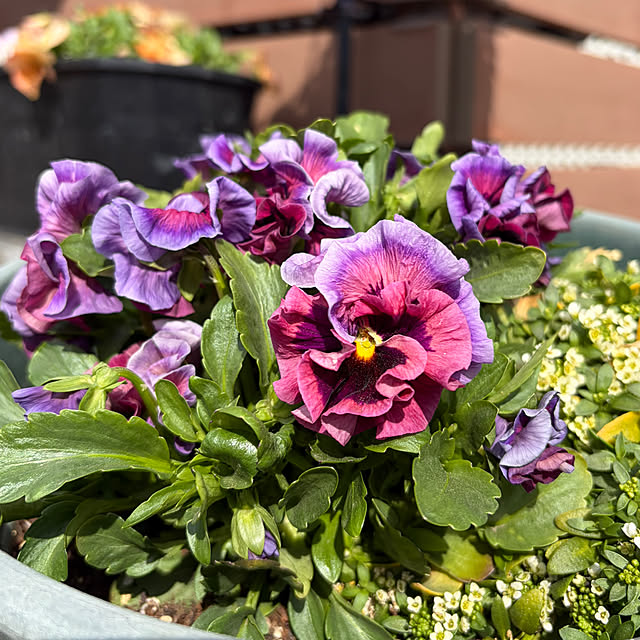 ronronさんの実例写真