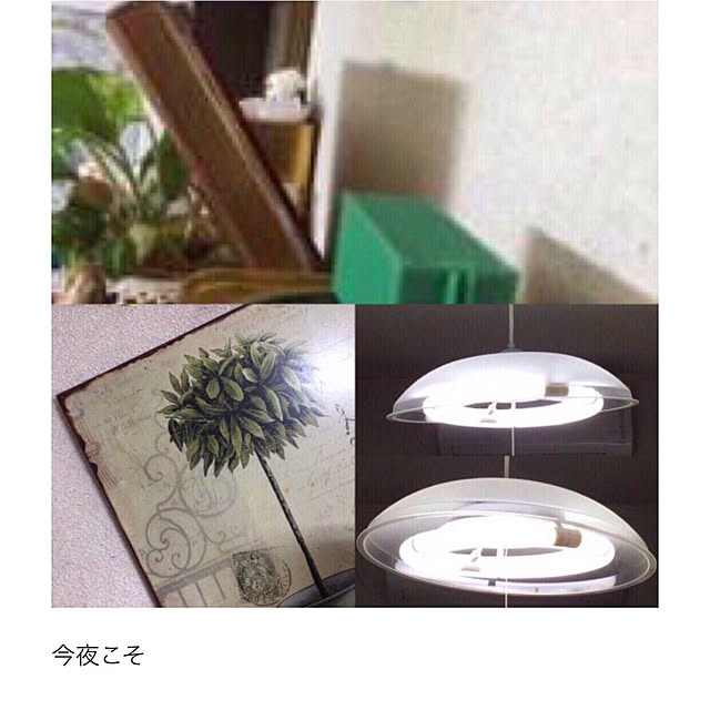 AKANEさんの実例写真