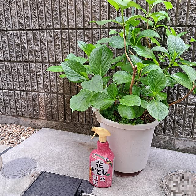 Jijiさんの実例写真