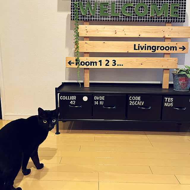 suemonta14さんの部屋