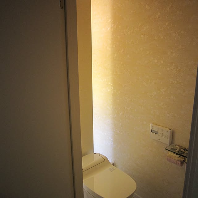 バス/トイレのインテリア実例 - 2015-06-29 23:49:54