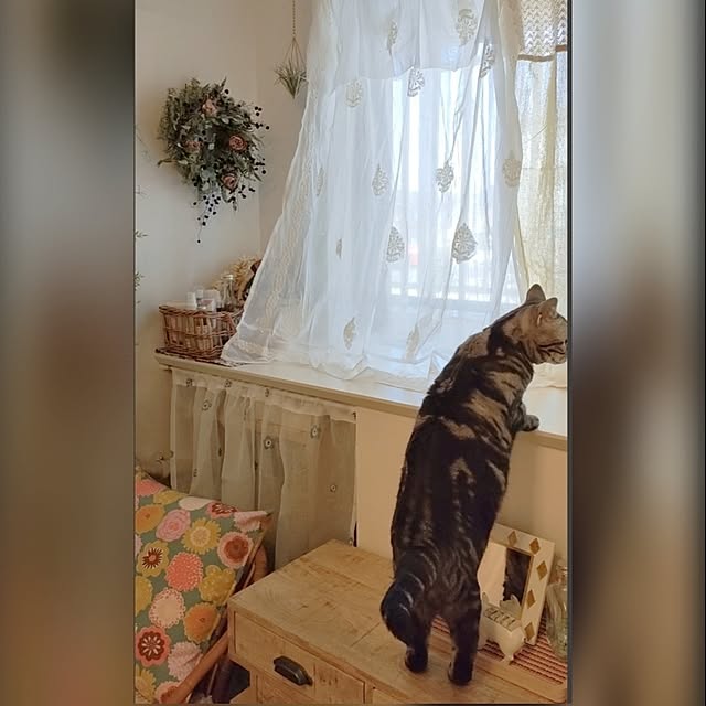 Yoko622さんの実例写真
