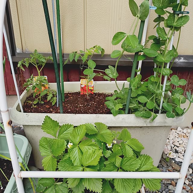 ameamekaasanさんの部屋