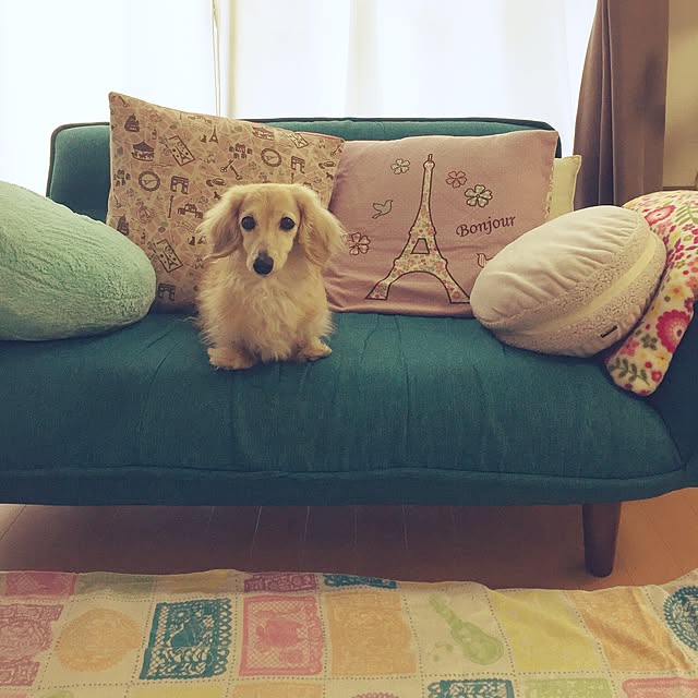 chiiiさんの実例写真