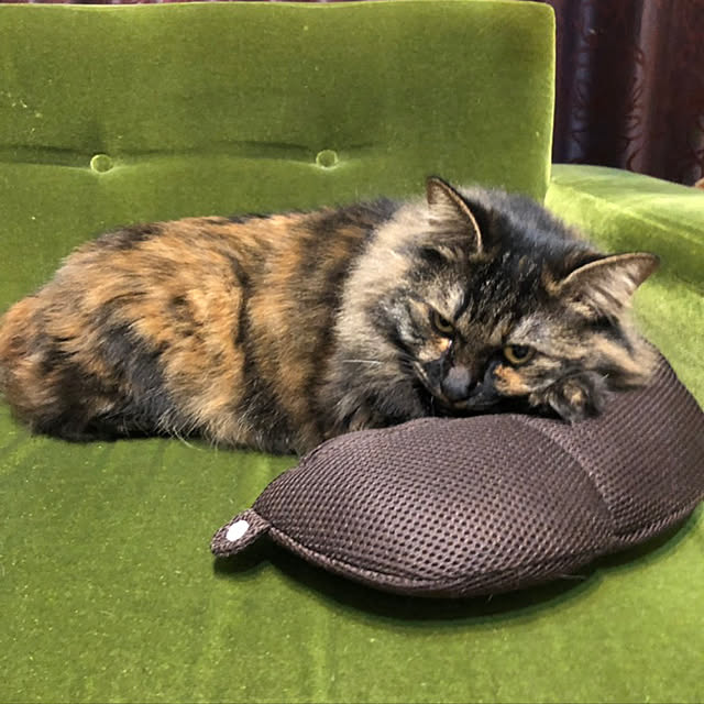 mikomaruさんの実例写真