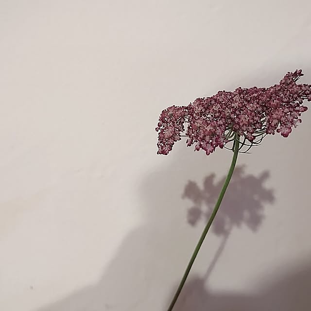 t.yumiさんの部屋