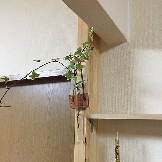 Midoriさんの実例写真