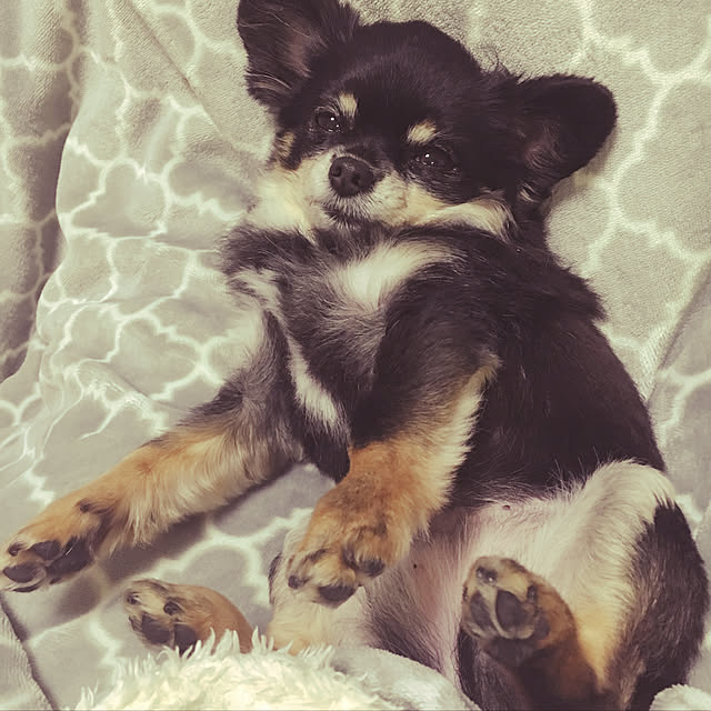 cocoさんの実例写真