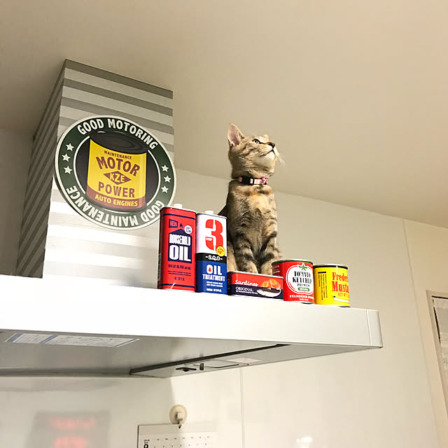 nonchaさんの実例写真