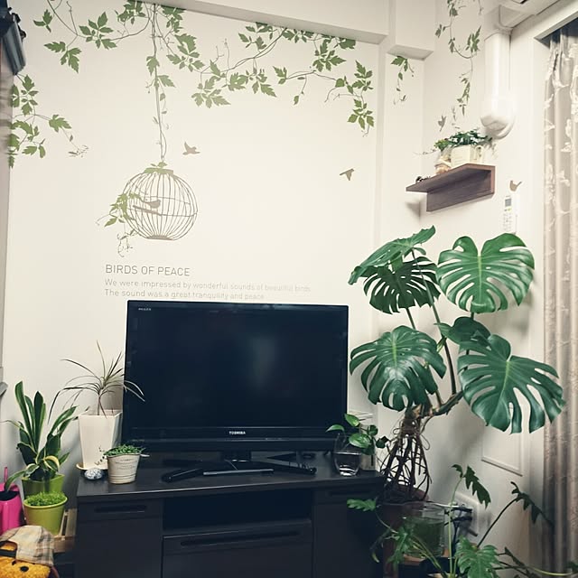 Keikoさんの実例写真