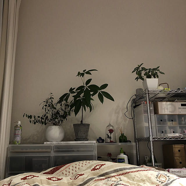 tnさんの実例写真