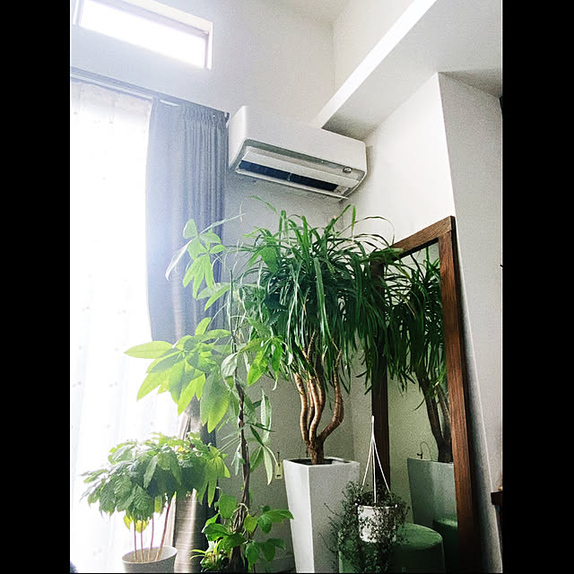 cocochiさんの実例写真