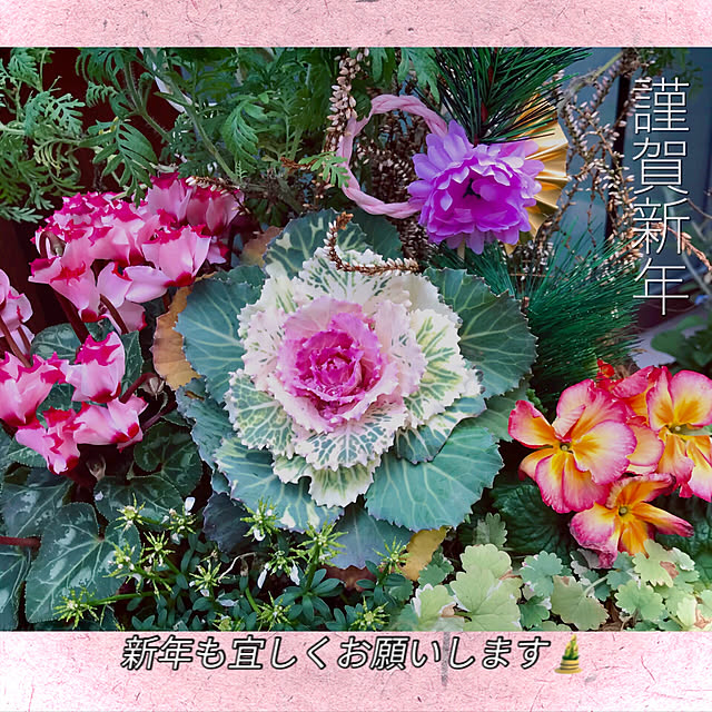 fuuさんの実例写真